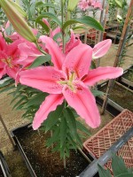 [4300 Vancouver DJ No02.JPG]